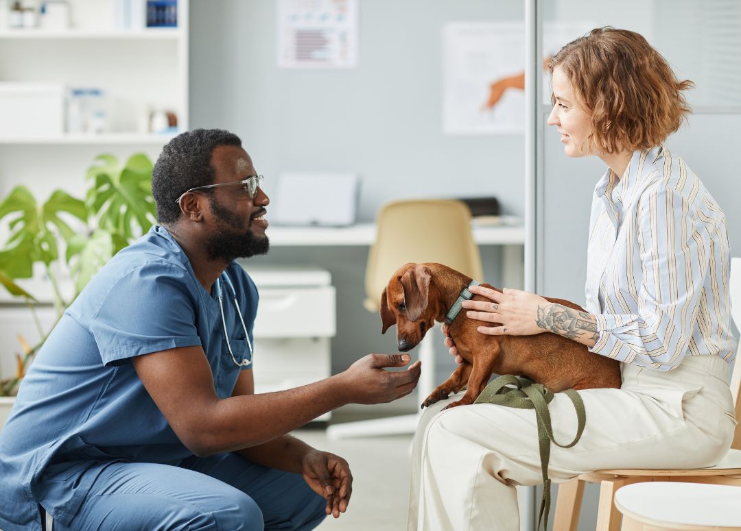a veterinarian greeting a client and their dog