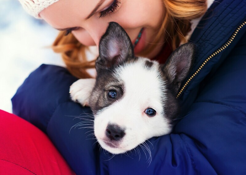 Black and white puppy snuggling warmly in a woman’s embrace, both dressed for winter