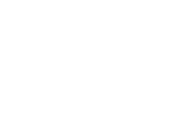 care-credit Care Credit logo White