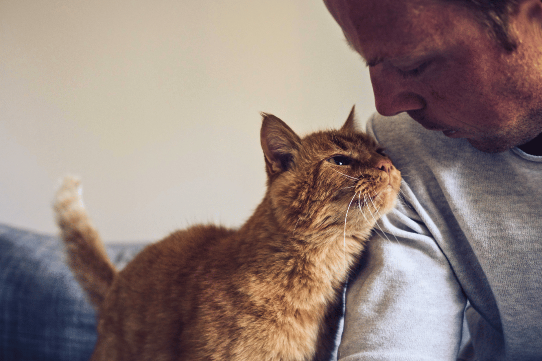 person with their cat